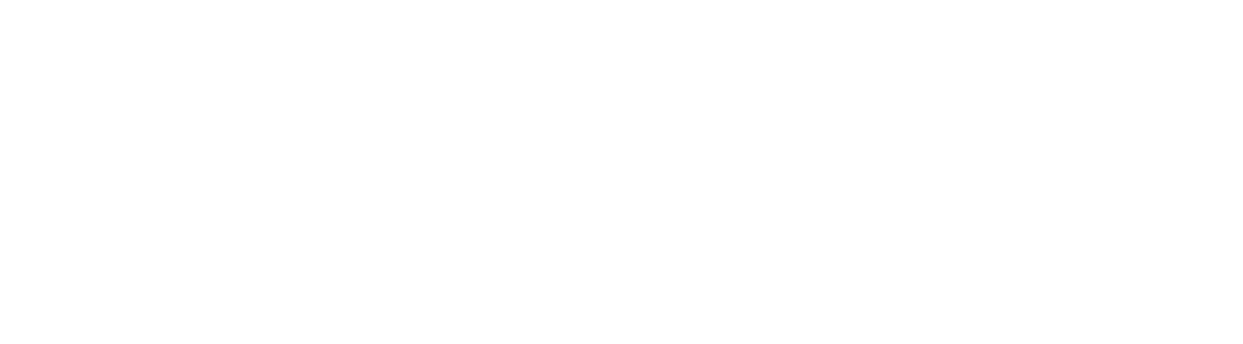 WESTERN DIGITAL
